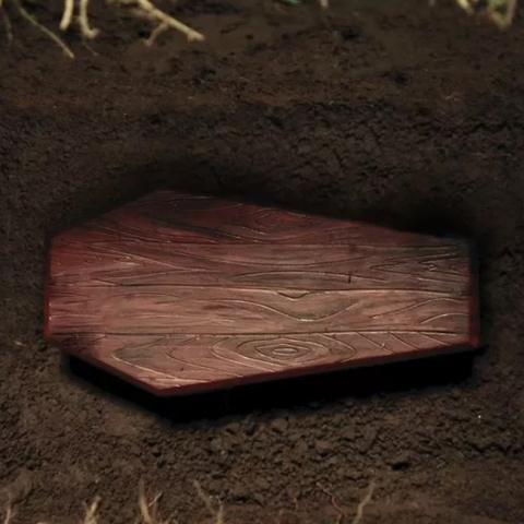 coffin2342342.jpg