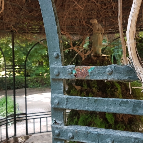 Οι κρυμμένες κουκουβάγιες της Αθήνας