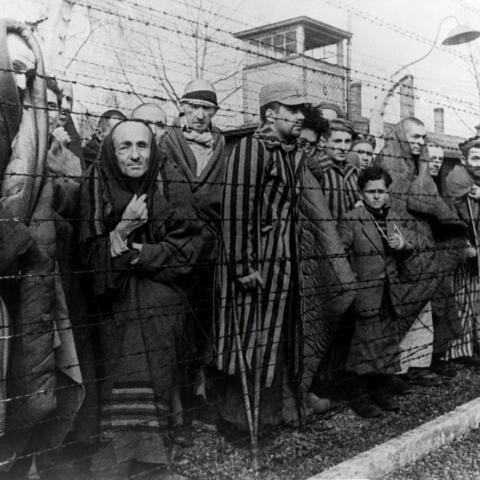 70th-anniversary-auschwitz-liberation-1.jpg