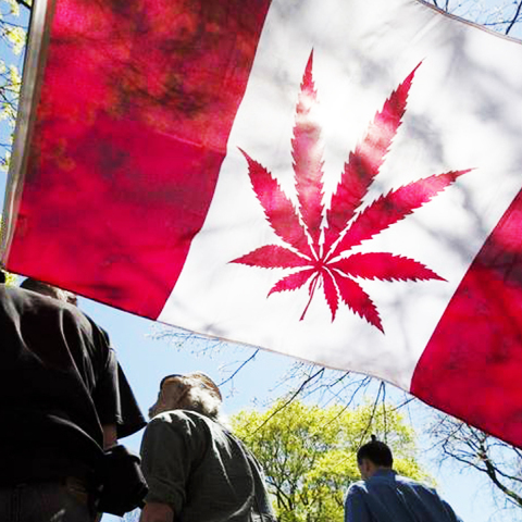 canada-marijuana.jpg