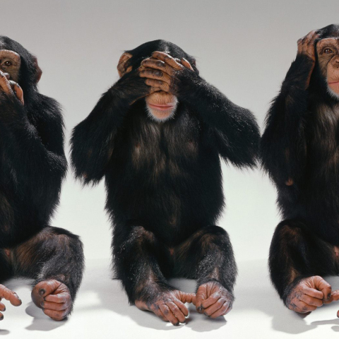 see-no-evil-hear-no-evil-speak-no-evil-monkeys-14750406-1600-1200.jpg