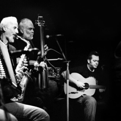 Χειμερινοί κολυμβητές