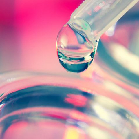 shutterstock_102029467-1400x480.jpg