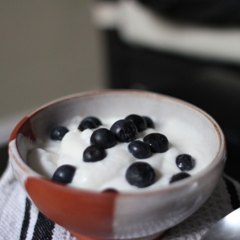 yogurt-763372_1920.jpg