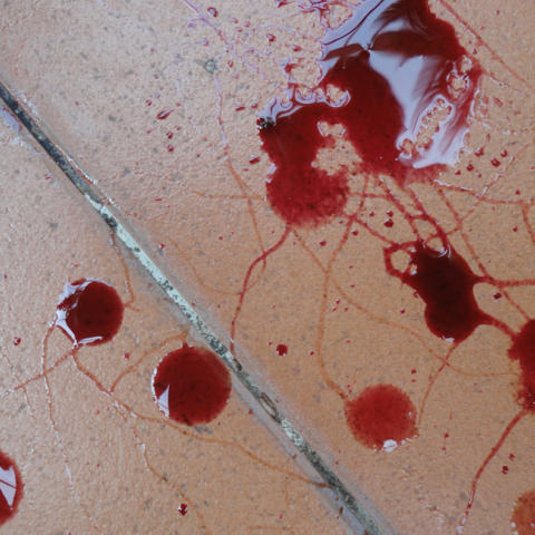 bllod-on-the-floor23423.jpg