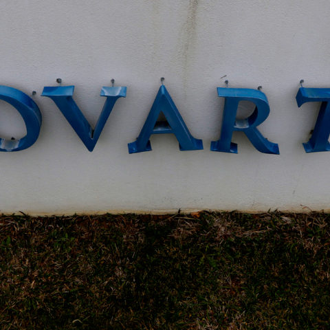 novartis2342.jpg