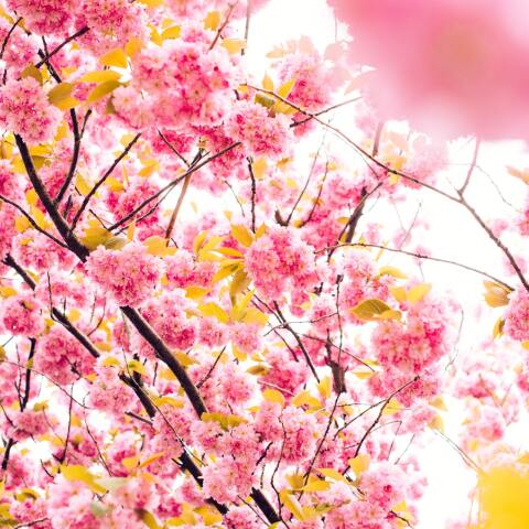 Ποιοι γιορτάζουν σήμερα; Το εορτολόγιο της Athens Voice