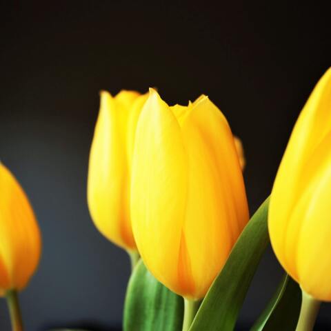 Ποιοι γιορτάζουν σήμερα 18 Μαρτίου; Το εορτολόγιο της Athens Voice σου τους θυμίζει. Μην ξεχάσεις να τους δώσεις τις καλύτερες ευχές σου!