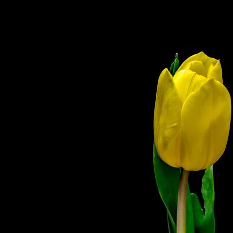 Ποιοι γιορτάζουν σήμερα; Το εορτολόγιο της Athens Voice