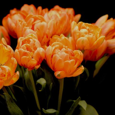 Ποιοι γιορτάζουν σήμερα 21 Μαρτίου; Το εορτολόγιο της Athens Voice σου τους θυμίζει. Μην ξεχάσεις να τους δώσεις τις καλύτερες ευχές σου!