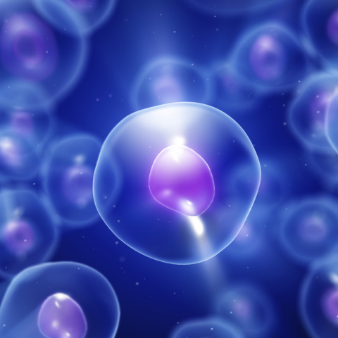 stem-cells.jpg