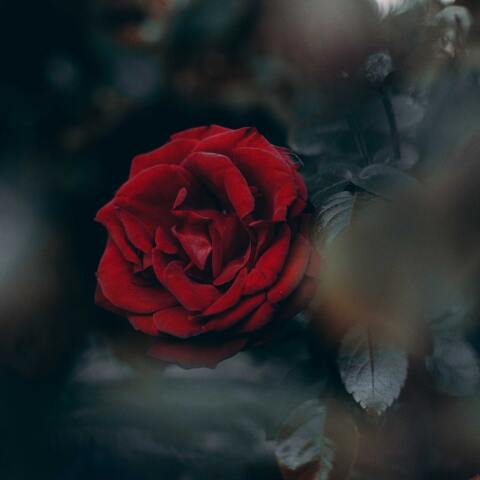 Ποιοι γιορτάζουν σήμερα 23 Μαρτίου; Το εορτολόγιο της Athens Voice