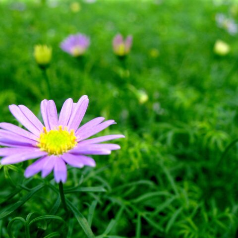 Ποιοι γιορτάζουν σήμερα 26 Μαρτίου; Το εορτολόγιο της Athens Voice σου τους θυμίζει. Μην ξεχάσεις να τους δώσεις τις καλύτερες ευχές σου!