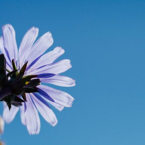 Ποιοι γιορτάζουν σήμερα 31 Μαρτίου; Το εορτολόγιο της Athens Voice σου τους θυμίζει. Μην ξεχάσεις να τους δώσεις τις καλύτερες ευχές σου!