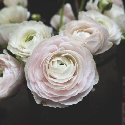 Ποιοι γιορτάζουν σήμερα 30 Μαρτίου; Το εορτολόγιο της Athens Voice σου τους θυμίζει. Μην ξεχάσεις να τους δώσεις τις καλύτερες ευχές σου!