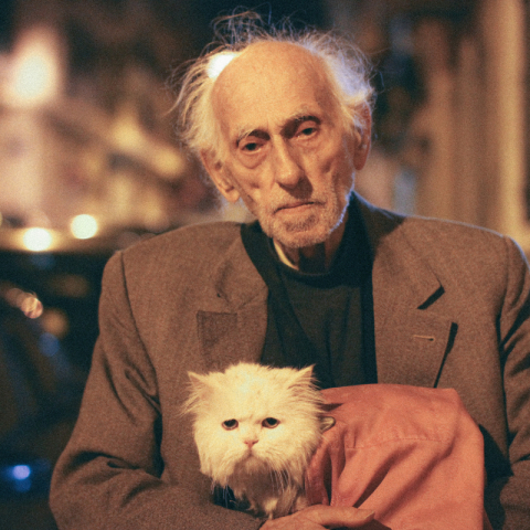 © Βικτώρια Άλεξ