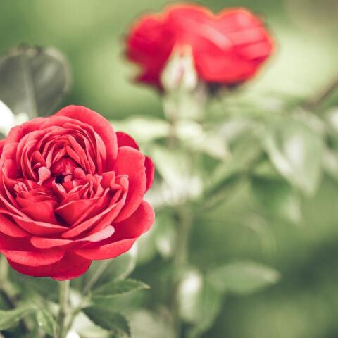 Ποιοι γιορτάζουν σήμερα 3 Απριλίου; Το εορτολόγιο της Athens Voice σου τους θυμίζει. Μην ξεχάσεις να τους δώσεις τις καλύτερες ευχές σου!