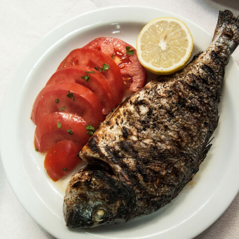 Αρχόντισσα