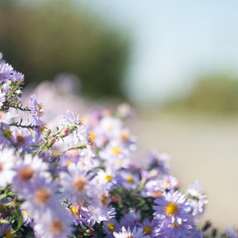 Ποιοι γιορτάζουν σήμερα 18 Απριλίου; 