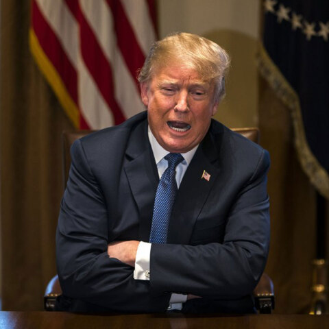 Ντόναλντ Τραμπ 