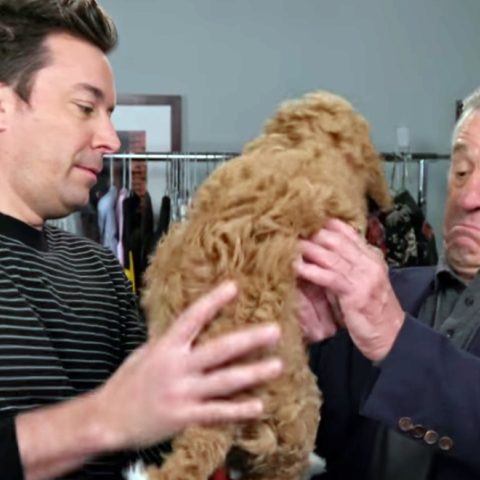 177_robert_de_niro_has_never_seen_a_dog_youtube_copy.jpg