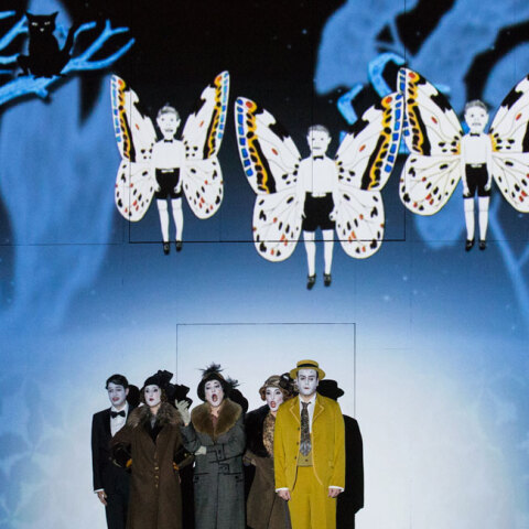 Μαγικός αυλός - ΕΛΣ