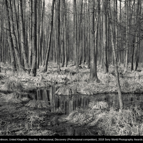 alys_tomlinson_-_2018_sony_world_photography_awards_2.jpg