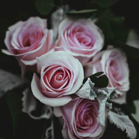 Ποιοι γιορτάζουν σήμερα 26 Απριλίου;