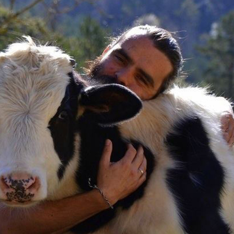 cows-love-cuddles.jpg