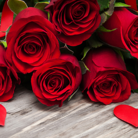red-roses-4114x2631-petals-hd-4k-6007.jpg
