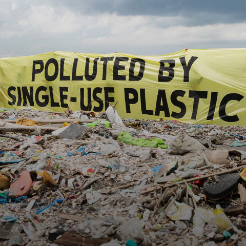 single-use-plastic-hero.jpg