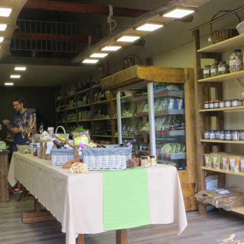 Delicatessen «Μανιταριών γεύσεις»