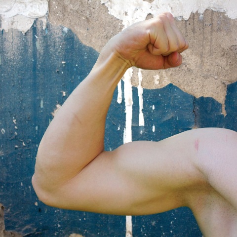 muscle-biceps-force-body-arm-wallpaper.jpg