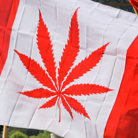 canadacannabisflag.jpg