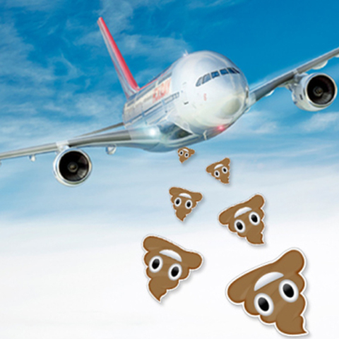 plane_poo.jpg