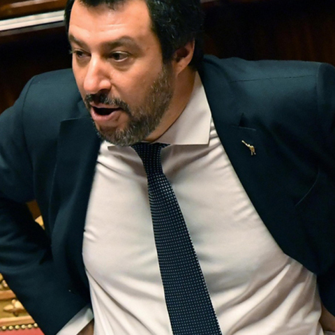 salvini1.jpg
