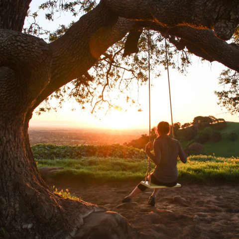 girl-on-swing-under-tree-watching-sunrise.jpg