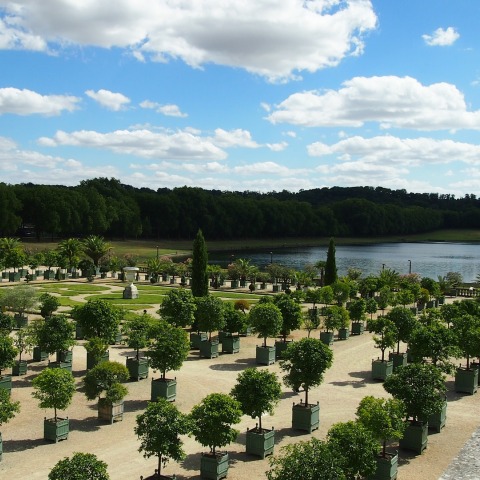 versailles-880355_1920.jpg