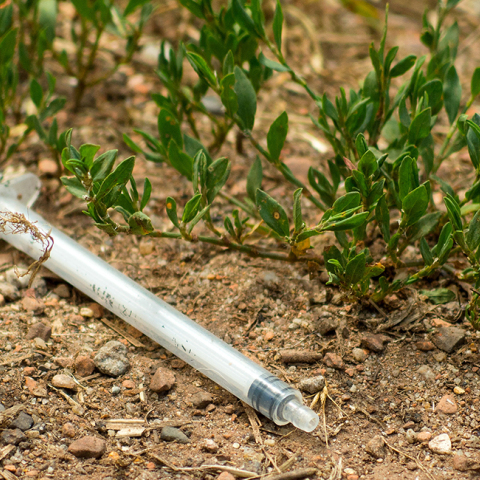 hypodermic-syringe-on-the-ground.jpg