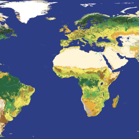 landcover2010.jpg