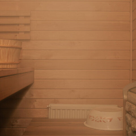 sauna.jpg