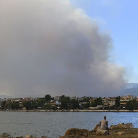 Προς τα Ψαχνά κινείται η φωτιά στην Εύβοια 