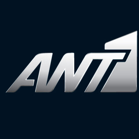 ant1.jpg