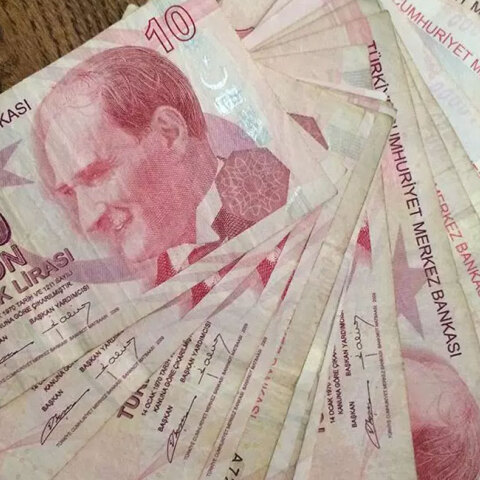 turkey-currency2332.jpg
