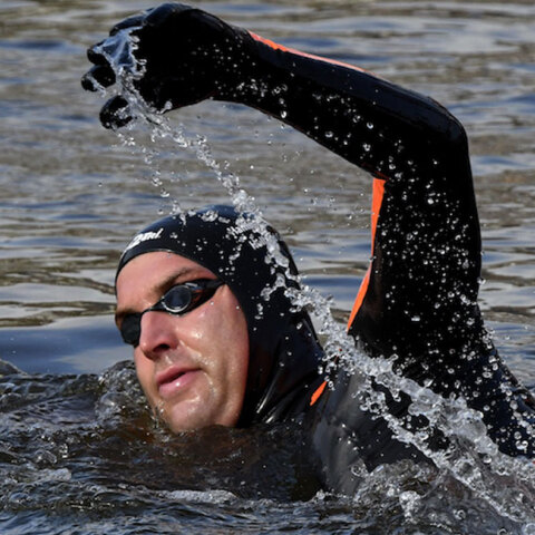 dutch-swimmer.jpg
