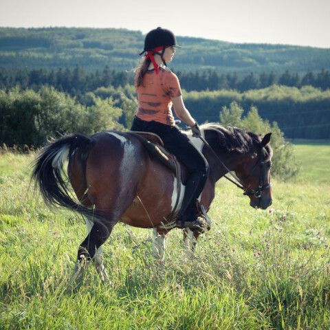 horse_ridding-1024x681.jpg
