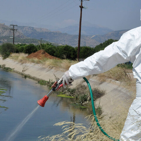 Ψεκασμοί κατά των κουνουπιών
