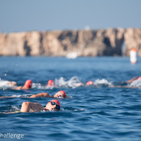 2_navarino_challenge_swimming_by_elias_lefas.jpg