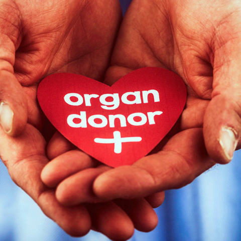 organ-donation-law-revolution.jpg