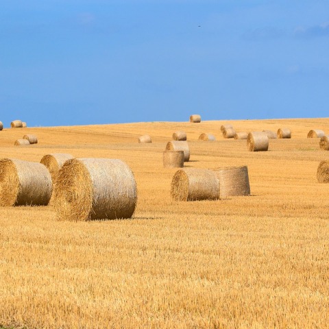 hay-bales-1930612_1920.jpg